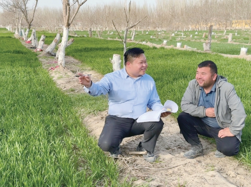 农行新疆分行：以金融之力浇灌春耕沃土