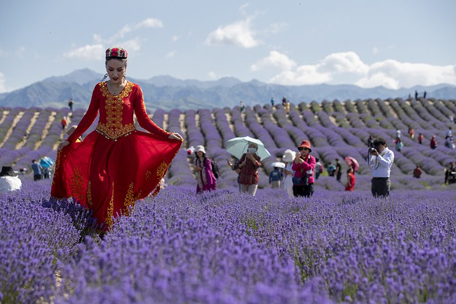 新疆是个好地方|新疆霍城第十届薰衣草文化国际旅游节开幕