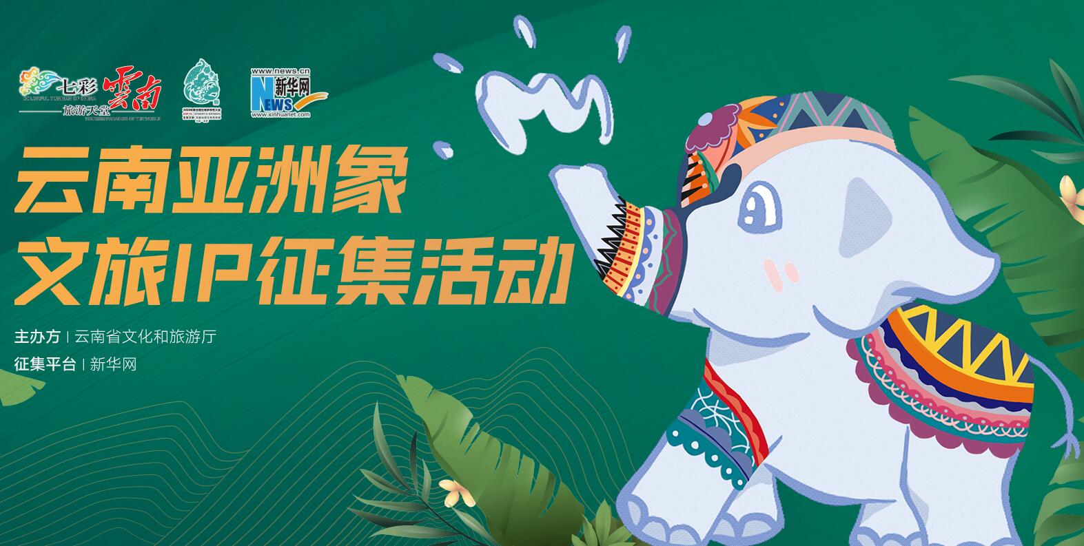 云南亚洲象文旅IP征集活动