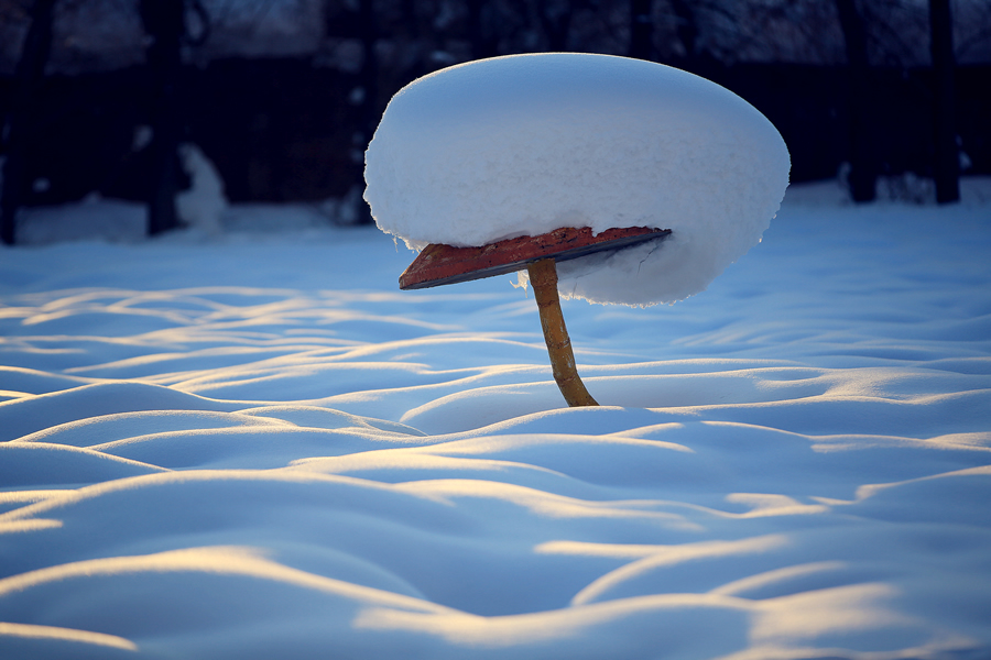 冬日奇观·额河第一村的“蘑”幻世界
